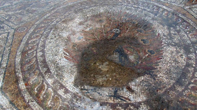 Болгарские археологи обнаружили в раннехристианской базилике 300 кв.м. мозаики