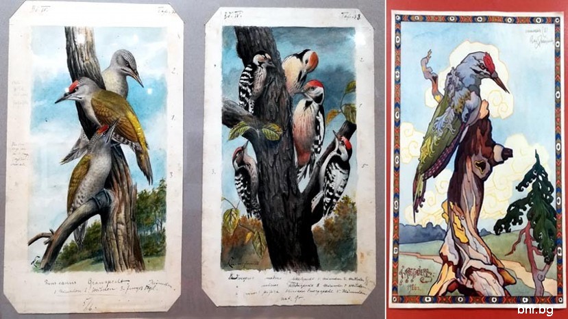 Птиците в изкуството и цар Фердинанд I