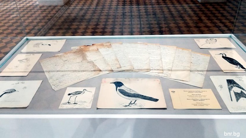 Птицы в искусстве и царь Фердинанд І