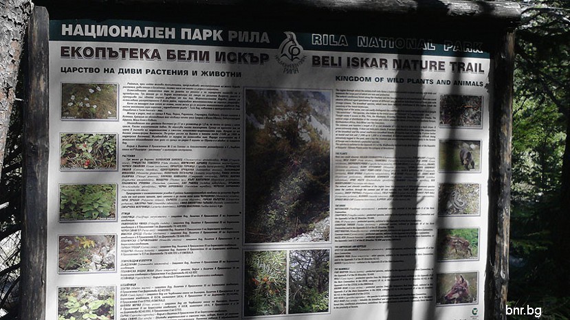 долината на река Бели Искър