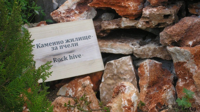 Медовый дом