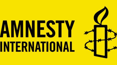 Amnesty International критикует Болгарию за отношение к мигрантам и цыганам