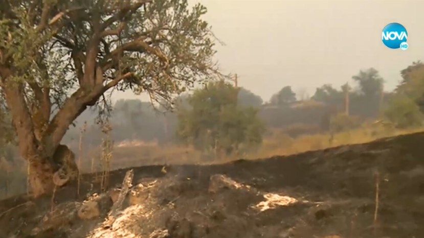 ТАСС: два человека пострадали из-за пожаров на юго-западе Болгарии