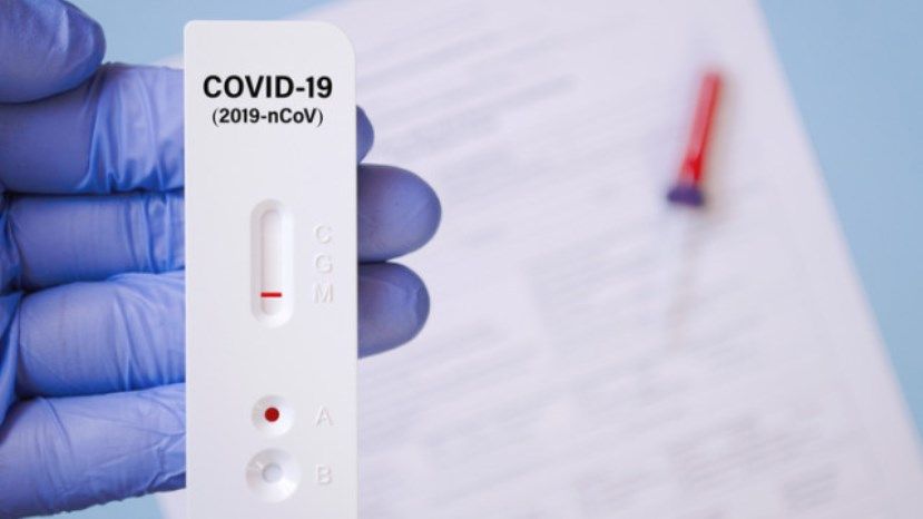 2403 новых случая заражения коронавирусом в Болгарии