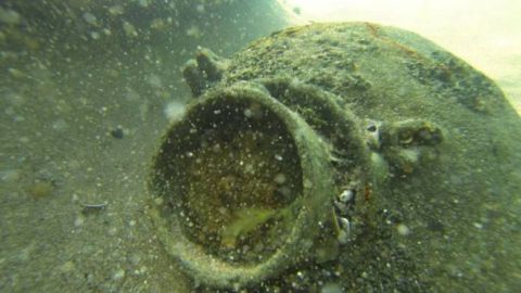 В Болгарии уничтожили морскую мину в районе пляжа „Корал”