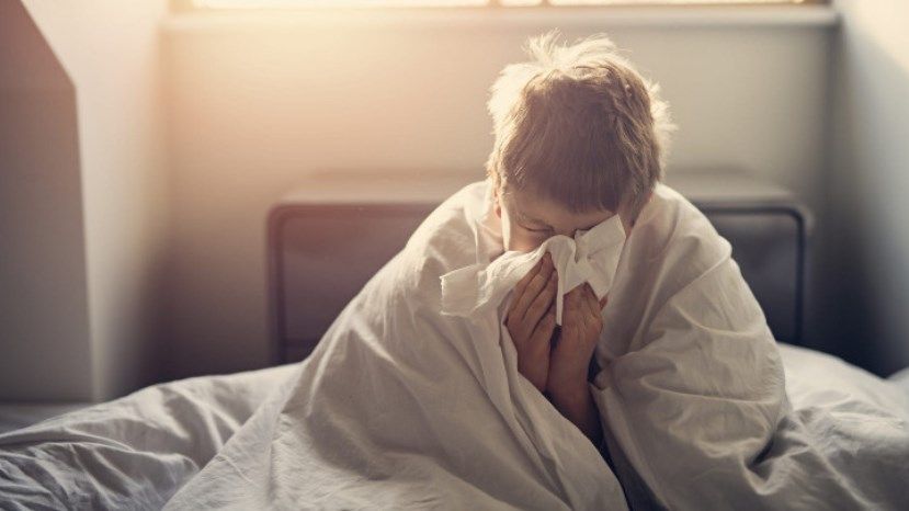 Болгария в преддверии национальной эпидемии гриппа