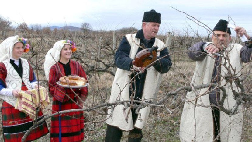 В Болгарии отмечают День святого Трифона или Трифон Зарезан