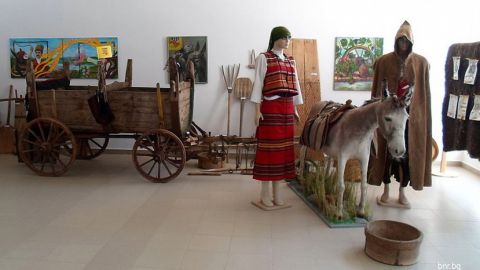 В Гурково играят магарофутбол и почитат магарето в музей