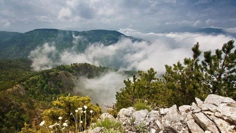 ЮНЕСКО объявила 4 болгарских заповедника биосферными