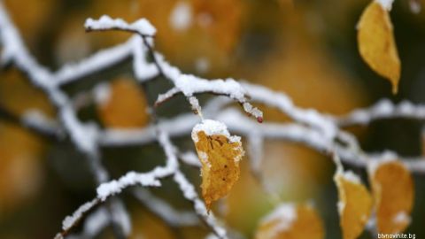 Климатолог прогнозирует в Болгарии теплую зиму и первый снег в Софии 22 ноября