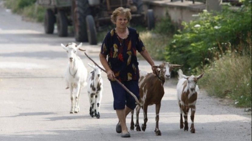 В 157 селах Болгарии нет ни одного жителя