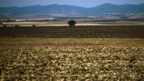През 2017 г. земеделската земя е поскъпнала с 14.6%