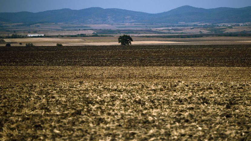 В 2017 году в Болгарии земля сельхозназначения подорожала на 14.6%