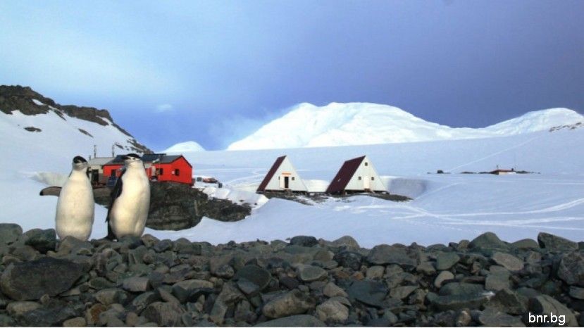 Арх. Пенка Станчева проектира лаборатория за учените ни в Антарктида