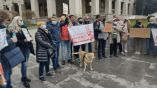 В Болгарии прошли акции протеста в поддержку Алексея Навального