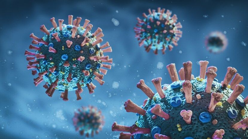 535 новых случаев заражения коронавирусом в Болгарии