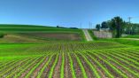 В Болгарии дорожает сельскохозяйственная земля