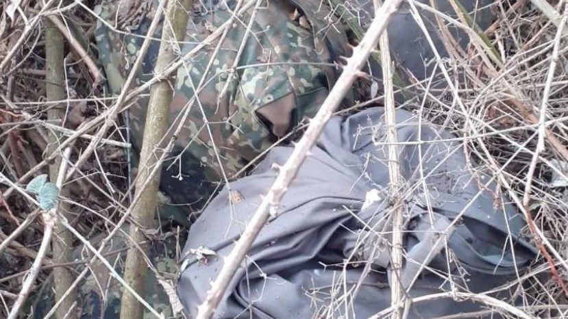 В Болгарии пограничники в кустах ежевики нашли амфетамины на 5 млн. левов