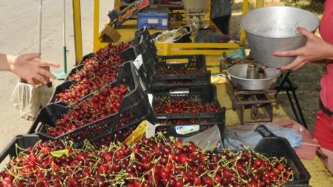За 10 дней черешня в Болгарии подешевела на 20%
