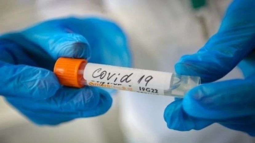 228 новых случаев заражения коронавирусом в Болгарии