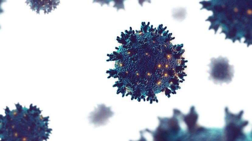 998 новозаразени с коронавирус - 13,4% от тестваните, 14 починали