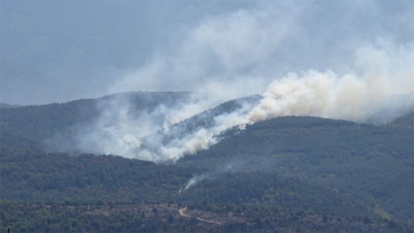 Огненная стихия вызвала эвакуацию жителей села Влахи