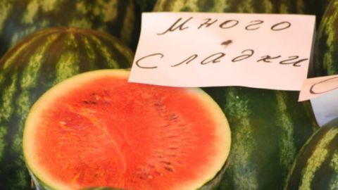 Цар Самуил - селото с най-сладките дини