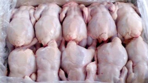Беларусь ограничила ввоз птицы из региона Болгарии из-за птичьего гриппа