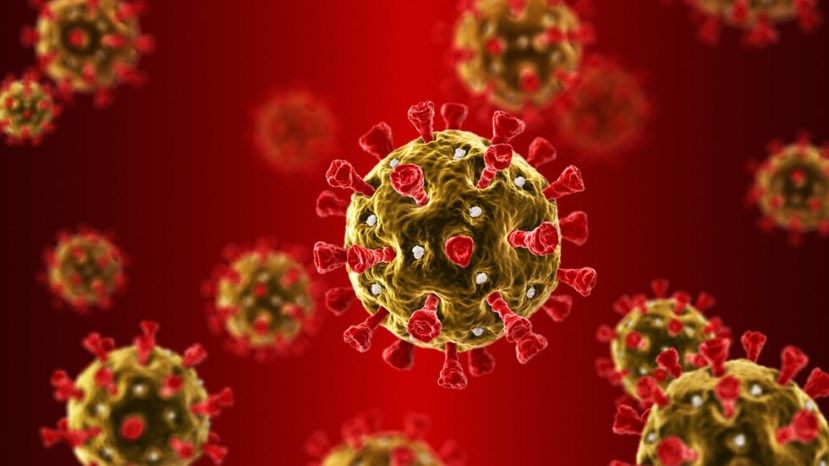 3556 новых случаев заражения коронавирусом в Болгарии