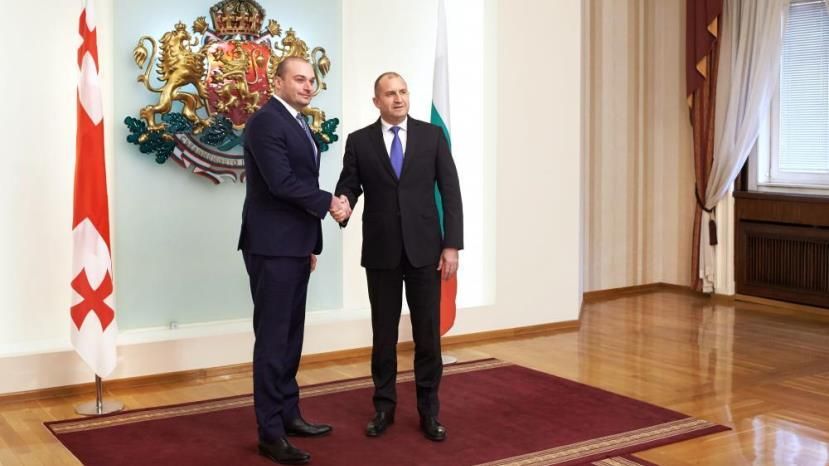Възможностите за интензифициране на двустранния икономически обмен и сътрудничество обсъдиха президентът Румен Радев и министър-председателят на Грузия