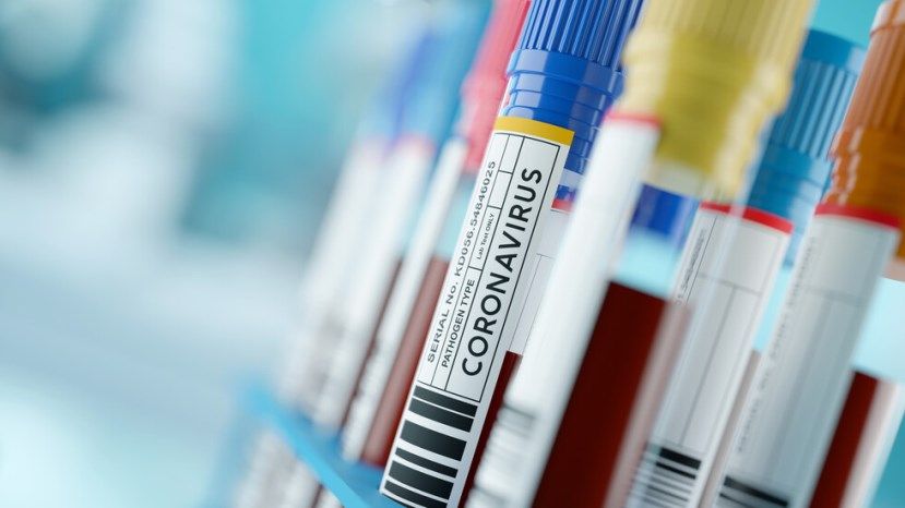 2477 случаев заражения коронавирусом в Болгарии