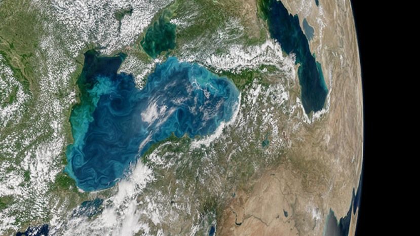 В Черном море «расцвели» бирюзовые вихри