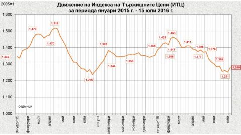 За неделю огурцы в Болгарии подорожали на 42%