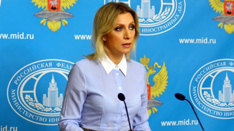 МИД России прокомментировал информацию о поставках сирийской оппозиции оружия через территорию Болгарии