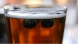 Впервые болгарские ученые включили в производство пива чернику и аронию