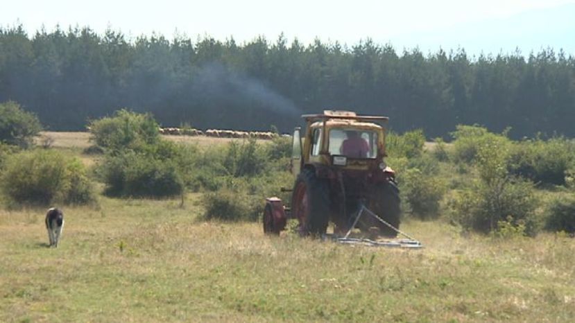 20% экономически активного населения Болгарии работает в сельском хозяйстве