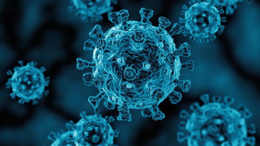 2569 новых случаев заражения коронавирусом в Болгарии