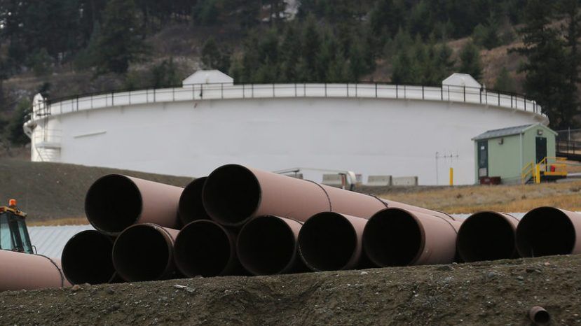 Работодатели призывают Болгарию включиться в газопровод «Белый поток»