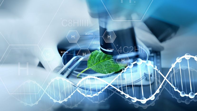 Ученые Беларуси и Болгарии будут развивать сотрудничество в сфере биотехнологий для пищевой отрасли
