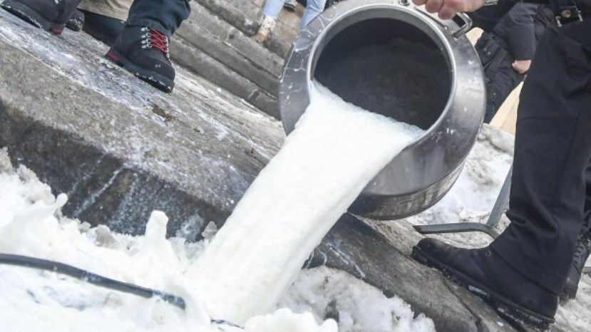 Более 60% молочных продуктов в Болгарии – имитация