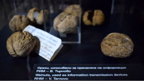 Интересная выставка рассказывает истории посредством любопытных экспонатов