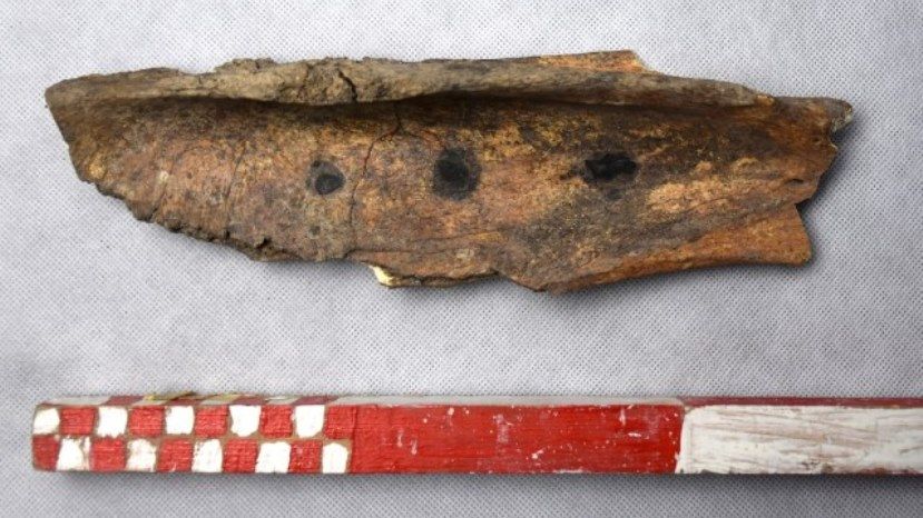В Болгарии обнаружили 700-летнюю кость с &quot;магическими&quot; знаками