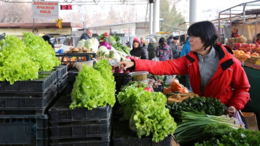 90% от плодовете и зеленчуците на пазара в България са вносни, а земеделието се свива