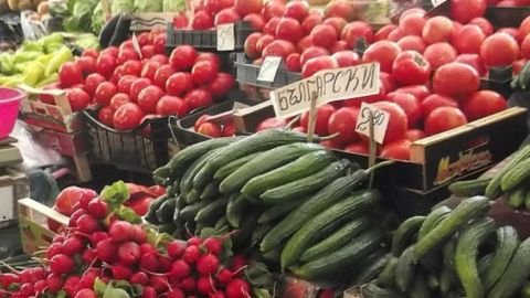 За неделю оптовые цены на продукты питания в Болгарии выросли почти на 5%
