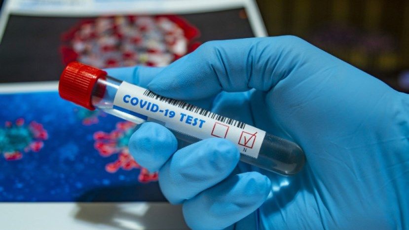 506 новых случаев заражения коронавирусом в Болгарии