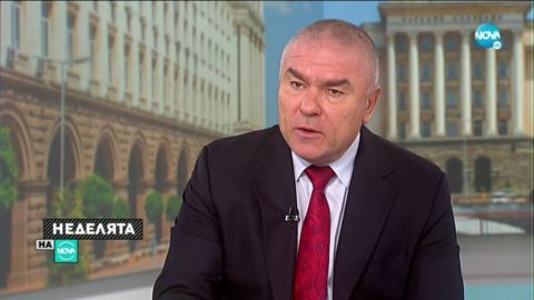 REX: В Болгарии объявился свой Навальный