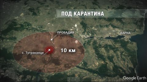 Россельхознадзор запретил поставки свинины из Болгарии