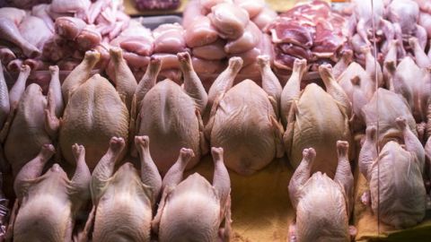Беларусь ограничила ввоз птицы из Болгарии