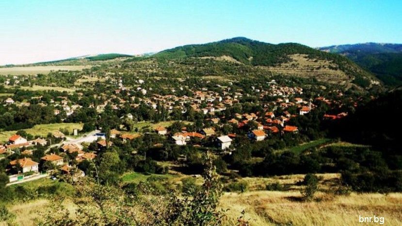 В полите на Стара планина край село Елешница