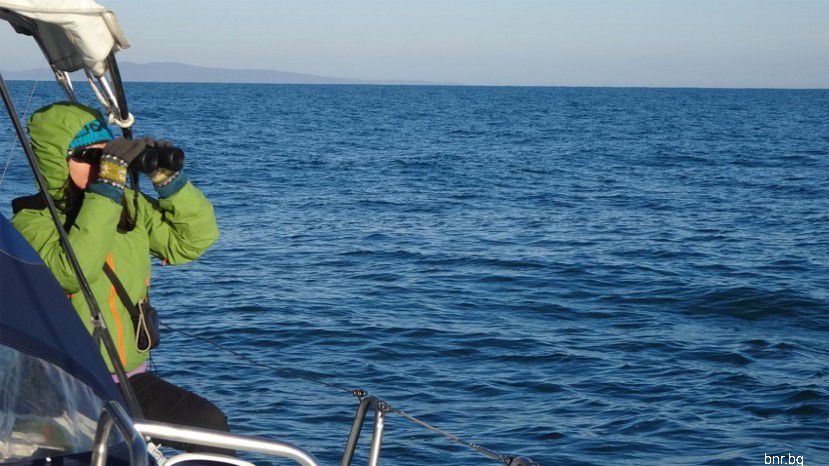 Черное море – море в опасности